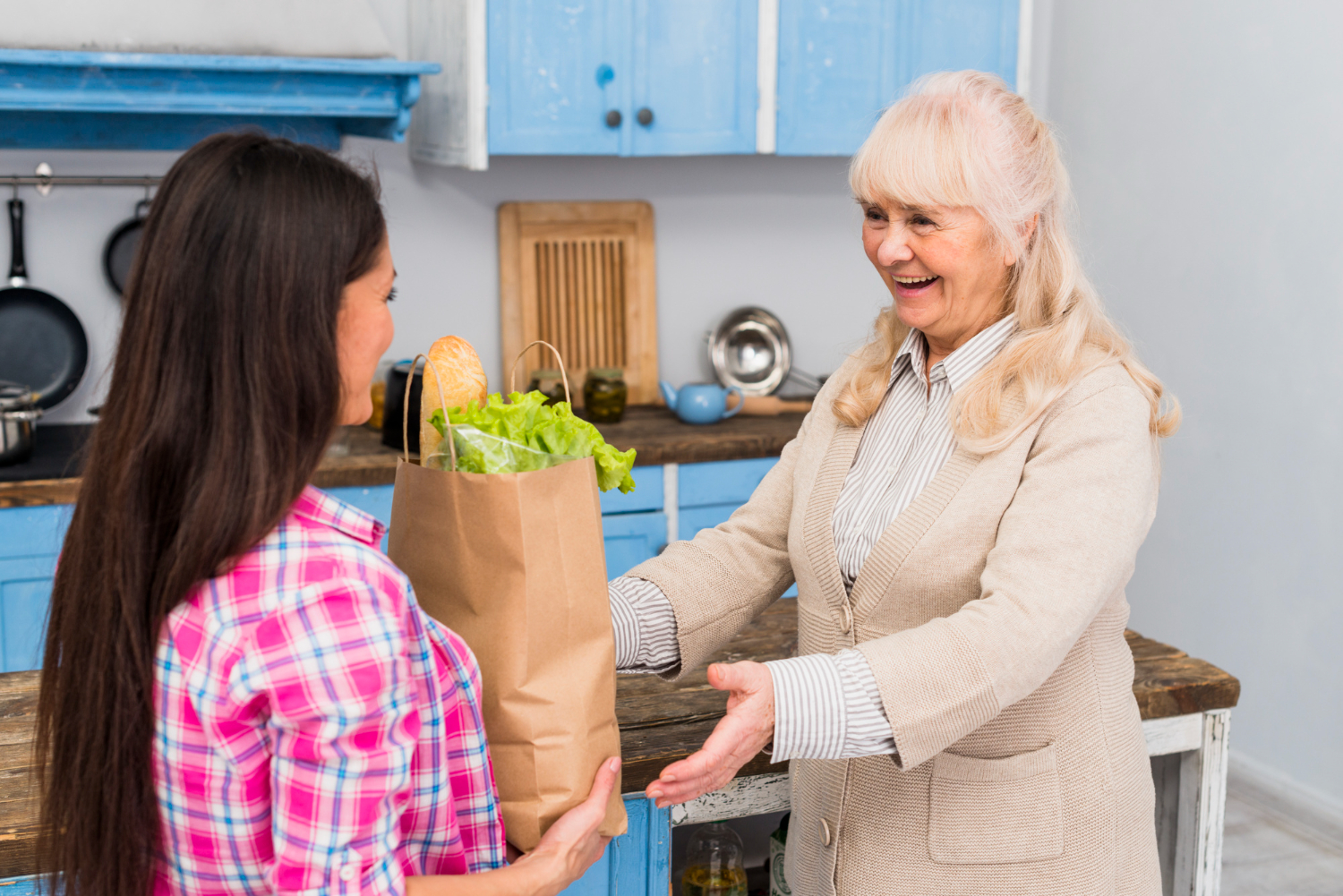 Naturigg: Delivering Healthy Meals for the Elderly